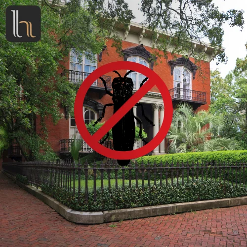 Wood Borer Control Villa 2000 - 3000